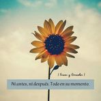 Eloisa Osorio - Facebook