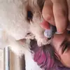 Eloisa Perez - @eloisa.perez42 - TikTok
