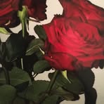 Eloise Allard - Facebook