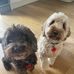 Eloise Best - Facebook