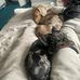 Elouise Campbell - Facebook