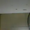 eloisecasey1959 - @eloisecasey1959 - TikTok