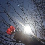 Photosd’elo - @eloise_clement03 - Instagram