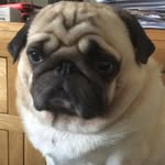 Eloise Dyer - @dyer5345 - Instagram