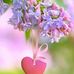 Elisa Eckert - Facebook