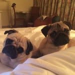 Florence And Eloise - @florenceandeloise - Instagram