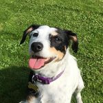 Eloise Garner - @superflopsyxox - Instagram