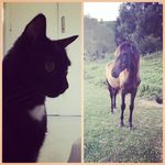 F.Freyia - @eloise.green - Instagram