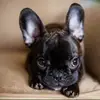 Eloisa Herron - @eloisaherron - TikTok