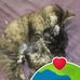 Eloise Hoffman - Facebook