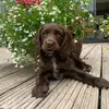 Eloise Holmes287 - @eloiseholmes287 - TikTok