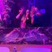 Eloise Hookway - Facebook