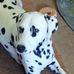 Eloise House - Facebook