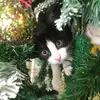 EloiseHoward - @eloisehoward72 - TikTok