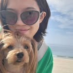 Eloise Kim - @pianotototory0409 - Instagram