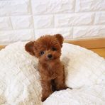 Eloise Kim Shop 2 - Facebook