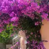 eloise - @_eloiseking - TikTok