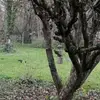 eloiselamb09 - @eloiselamb09 - TikTok