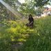 Eloise Lambert - Facebook