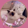 Eloise Lambert - @eloise.lambert09 - TikTok