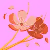 Eloise Lawrence - @eloise.lawrence8 - TikTok