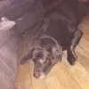 eloiselayton - @eloiselayton6 - TikTok