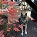 Eloise Lemmon - Facebook