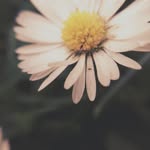 Eloise's Photography Work - @eloise_lilly_photography - Instagram