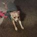 Eloise Lopez - Facebook