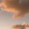 eloiselove - @eloise.frances - TikTok