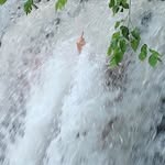 Eloise m - @eloise_marcuson - Instagram