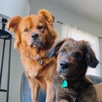 Eloise & Marshall - @eloiseandmarsh - Instagram