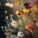 Eloise McCarty - Facebook
