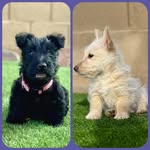 Moira & Eloise - @moira_and_eloise - Instagram
