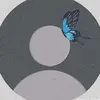 Eloise Moraes - @eloise.moraes8 - TikTok