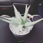Eloise Park - @eloiseparkphotography - Instagram
