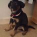 Elouise Upton - Facebook