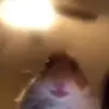 𝒆𝒍𝒐𝒊𝒔𝒆 - @eloise..wade - TikTok