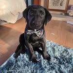 Eloise Whiting - @eloise.whiting25 - Instagram