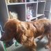 Eloise Williamson - Facebook