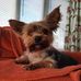 Eloise Wright - Facebook