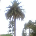 Eloy Cano Parra - @eloycanoparra - Instagram