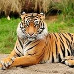 Eloy Chavez - @eloy2968 - Instagram