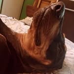 Eloy chavez - @eloycz___ - Instagram