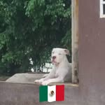 Eloy Guzmán Guzman - @eloyguzmanquino - Instagram