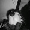 Eloy  Herrera - @eloyherrera85 - TikTok