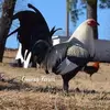 Eloy Felipe Jeronimo - @eloy.felipe.jeron - TikTok