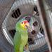 Eloy Jeronimo - Facebook