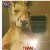 Eloy Rios - @eloy.rios805 - TikTok