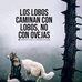 Eloy Rivera - Facebook